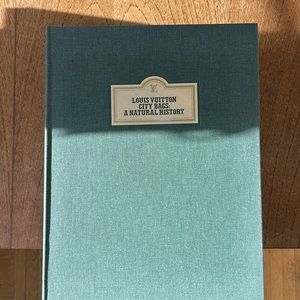 Louis Vuitton City Bags book